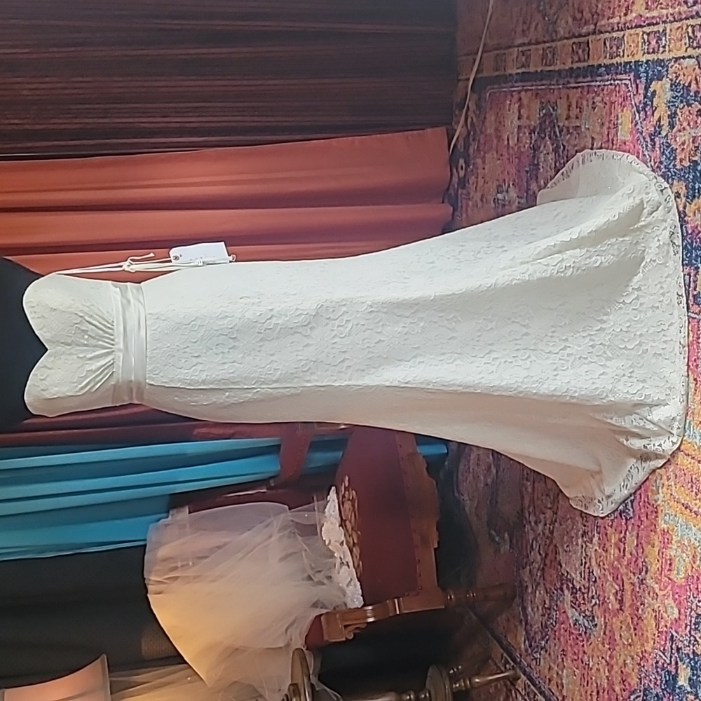 NWT All lace ivory wedding dress, sz. 8